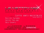 LE NETTOYAGE PROFESSIONNEL 13570