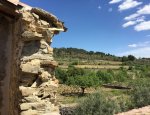 LANGUEDOC PROPERTIES Laure-Minervois