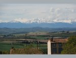 LANGUEDOC PROPERTIES 11800