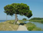 11100 Narbonne Plage