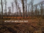 Photo E.B.F. EXPLOITATION BOIS  ET FORETS