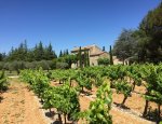 IMMOBILIERE DU LUBERON 84560