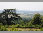 AU COMPTOIR DE L'IMMOBILIER Neauphle-le-Château