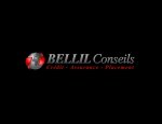 BELLIL CONSEILS 34000