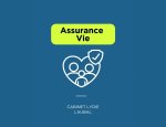 CABINET LYDIE LAUBAL - ASSURANCE & CONSEIL Chavanoz