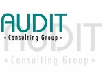 AUDIT CONSULTING GROUP Cannes