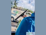 HYBIOPRO 67520
