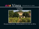 VINEA TRANSACTION 34000