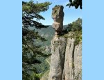 SUD AVEYRON IMMOBILIER 12720