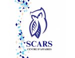 SCARS 95880