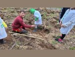 MAISON FAMILIALE RURALE MARLHES 42660