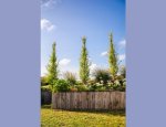 Photo HERVIEU PAYSAGES CONSEIL