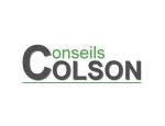 COLSON-CONSEIL PROTECTION FINANCIERE 63500