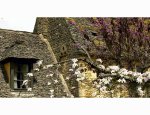 Photo MAISON PERIGORD NOIR