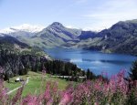 AGENCE IMMOBILIERE DU BEAUFORTAIN Areches