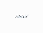 BRETEUIL IMMOBILIER 75008