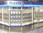 PEILLEX IMMOBILIER 74200