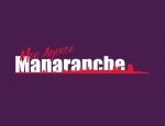 MANARANCHE IMMOBILIER ARLÉSIENNE DE GESTION 13200