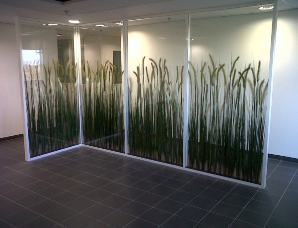 Photo 0