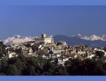 RENOIR IMMOBILIER 06800