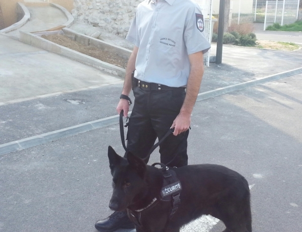 Photo 0