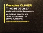 AUDIERNE IMMOBILIER 29770
