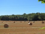 Photo AGENCE MURET IMMOBILIER