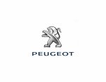 ATELIER 16 PEUGEOT 54800