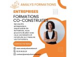 AMALYS FORMATIONS 44350
