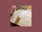 ANGLAIS IN FRANCE SARL Vazerac