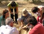 LE CHANT DES ARBRES Manosque