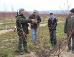 LE CHANT DES ARBRES Manosque