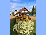 SIMON WURTZ IMMOBILIER 67410