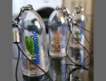 BABYPLANTE.FR (SARL FANTAS) Langlade