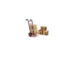 ACTION SOLUTION TRANSPORT 31000