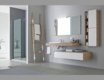 42300 Roanne