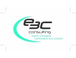 E3C CONSULTING 26000