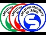 SERVICE GLOBAL ET SECURITE INCENDIE 81500