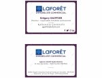 LAFORET IMMOBILIER GUJAN-MESTRAS - GAIFFIER CONSEILS Gujan-Mestras