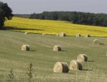 47300 Villeneuve-sur-Lot