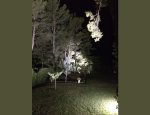 13990 Fontvieille