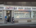 EURO SUISSE IMMO 74100