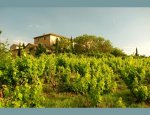 Photo PROVENCE SECRETE
