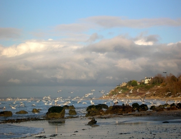Photo 0