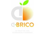 A BRICO 31850