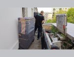 Photo DOLYDEM DEMANAGEMENTS ET SERVICES