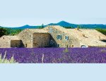 DEMEURES PROVENCALES 84800