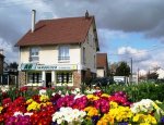 AB IMMOBILIER 78300