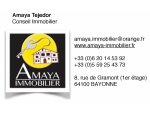 AMAYA IMMOBILIER 64100