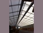 Photo POLYPOLES